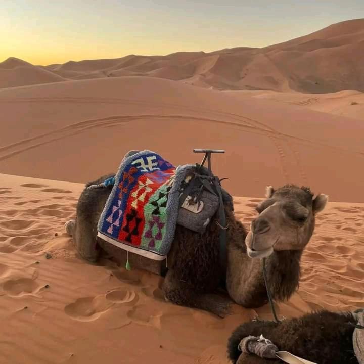 Hotel Kasbah Ait Arbi Ait Ougliff Exteriér fotografie